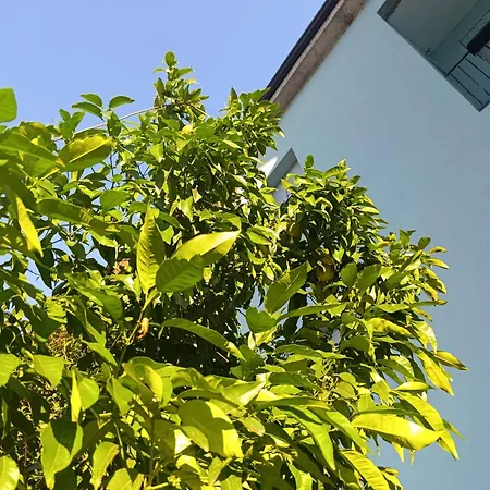 Callisto Vicino Al Con Un'atmosfera Calorosa E Giardino Appartement Dervio
