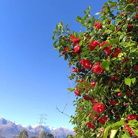 Callisto Appartamento