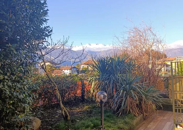 Callisto Vicino Al Con Un'atmosfera Calorosa E Giardino *