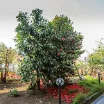 Callisto Vicino Al Con Un'atmosfera Calorosa E Giardino アパート