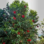 Appartement Callisto Vicino Al Con Un'atmosfera Calorosa E Giardino